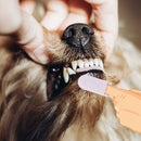 20pcs/set Finger Cover Remove Tartar Non-woven Finger Cot Oral Care Pet Suppl