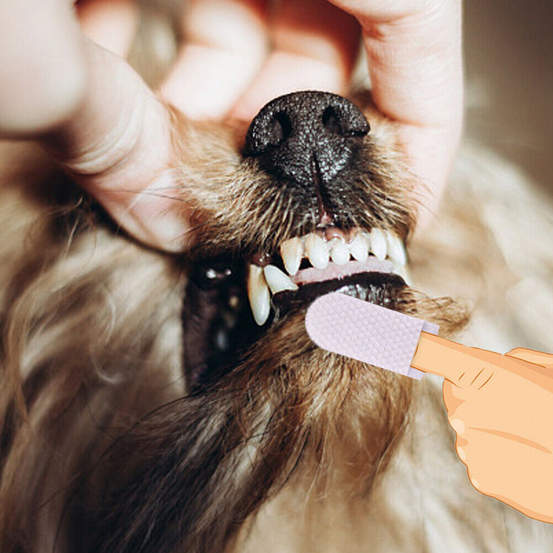 20pcs/set Finger Cover Remove Tartar Non-woven Finger Cot Oral Care Pet Suppl