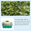 5pcs Seed Starter Trays with Grow Light Garden Plant Seedling Box (Green) Newly