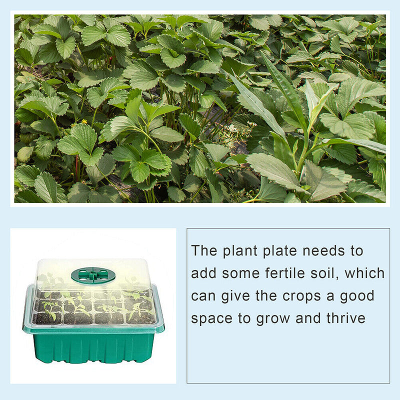5pcs Seed Starter Trays with Grow Light Garden Plant Seedling Box (Green) Newly