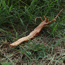 Decoration Driftwood Tree Trunk Fish Tank Driftwood Aquarium Decoration