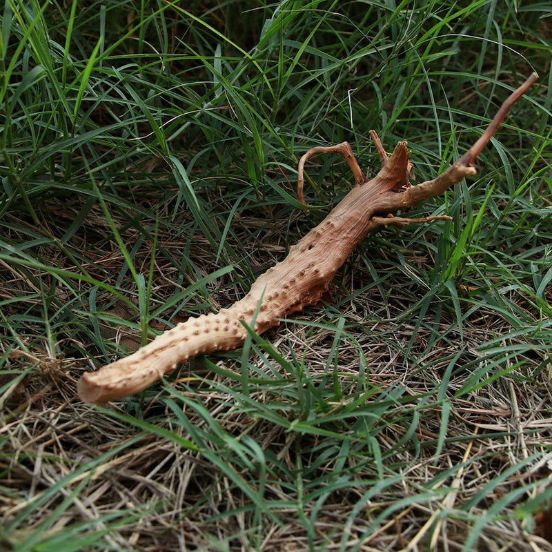 Decoration Driftwood Tree Trunk Fish Tank Driftwood Aquarium Decoration
