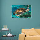 DIY Hand Painted Paint By Numbers Oil Canvas Pictures Sea Turtle Kit Room D
