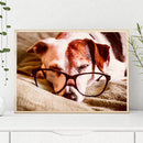 Educational Jigsaw Toys 1000pcs DIY Glasses Sleeping Dog Puzzle for Kids Ad