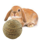Small Animal Chew Grass Ball Pet Hamster Molar Tooth Clean Balls (Straw) Newly
