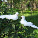 2pcs White Foam Feather Simulation Pigeons Wedding Table Decor Home Crafts