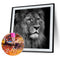 5D DIY Lion Full Round Drill Diamond Painting Artwork Handicraft Picture Newly
