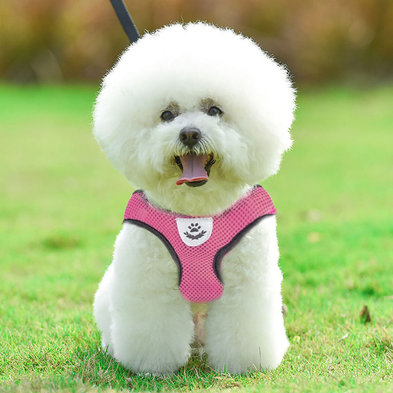 Polyester Cat Dog Harness Comfortable Cat Harness Vest Pet Supplies for Training