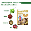 12pcs Herbal Warm Ginger Knee Patches Set Joint Bruises Treat Medical Plasters