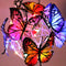 2pcs LED Luminous Butterfly Ball Solar Light Outdoor Garden Lawn Stakes Lamps