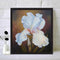 Flower Oil Paint By Numbers DIY Handpainted on Canvas Wall Art Picture Craft