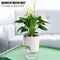 2 Layer ABS Flowerpot Self Watering Plant Container w/Water Tank (15.3cm) Newly