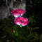 IP65 Waterproof Solar Powered 3 LED Rose Light Garden Ground Lamp (Pink) Newly