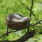 Artificial Bird Nest Realistic Sparrow Home Garden Ornament Decoration N2D1 L2I0