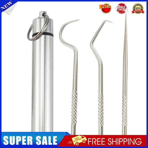 Stainless Steel Toothpick Set w/Portable Toothpick Holder Storage Box (01)