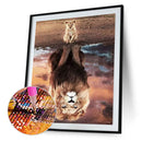 DIY Diamond Painting Kits Full Round Drill Cat Reflection Lion Home Decoration