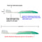 Dental Hygiene Soft Medium Brushes Teeth Protector Nano Toothbrush Oral Care