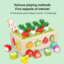 Montessori Toys - Wood Preschool Learning Fine Motor Skills Harvest Game