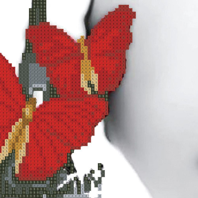 5D DIY Diamond Girl Painting DIY Needlework Embroidery Cross Stitch Kit