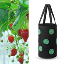 Felt Grow Bags Display Pockets DIY Hanging Strawberry Plant Bag (Black) Newly