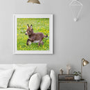 5D DIY Diamond Painting Embroidery Donkey Full Round Drill Rhinestones Craf
