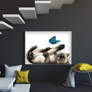 Diamond Kit Painting Round DIY Rhinestone Picture Full Drill Cat Butterfly 5D