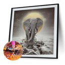 5D DIY Full Drill Diamond Painting Elephant Cross Stitch Craft Kit (wll817)