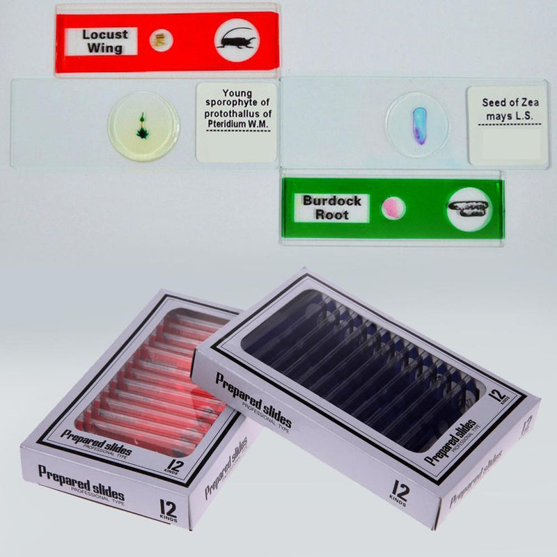 Prepared Plastic Microscope Slides Animals Insects Flowers Plants Student