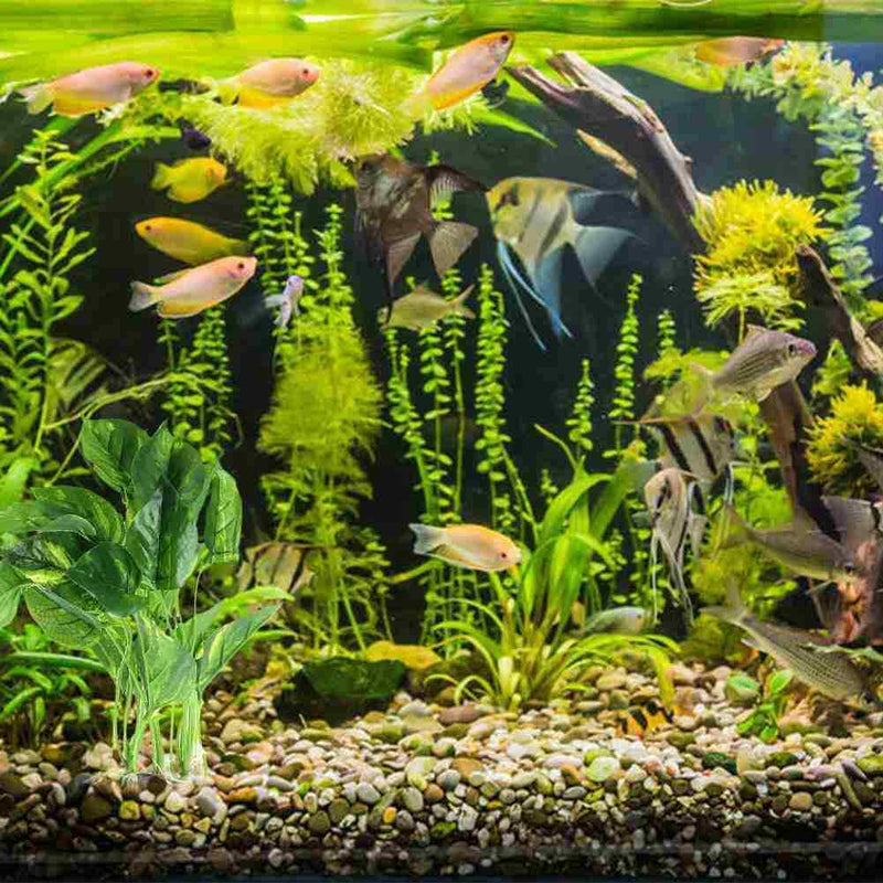 Simulation Aquarium Soft Water Grass Fish Tank Green Plastic Decor Material Q6L2