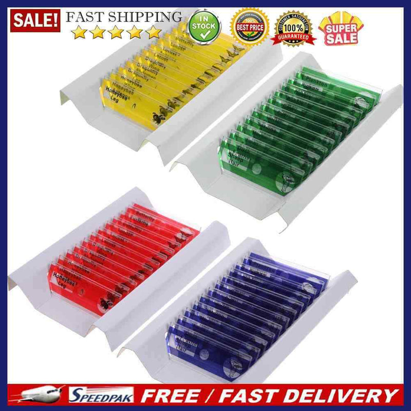Prepared Plastic Microscope Slides Animals Insects Flowers Plants Student
