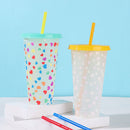 Fashion Temperature Discoloration Portable Coffee Drink Ware Straw Cup Beverage
