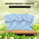 Car Aromatherapy Tablets - 6 Pcs Replacement Pads Air Freshener Refills (E)