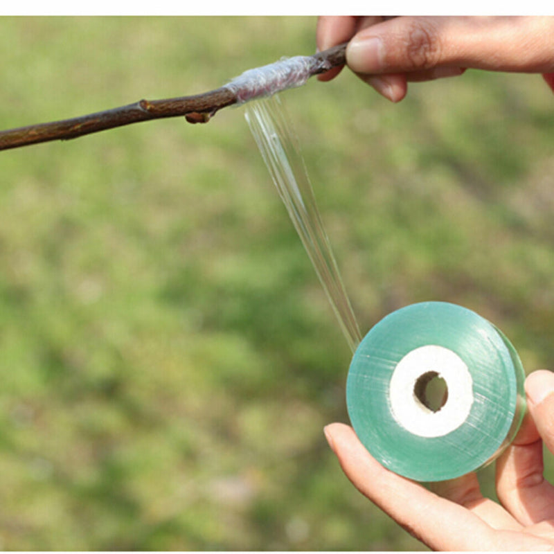 Grafting Tape Stretchable Self-adhesive For Garden Tree 2cm*100m.T1 I2T2