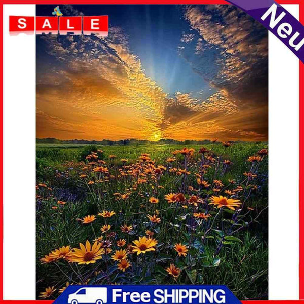 Hand Painted Oil Paint by Numbers DIY Flower Sunrise Drawing Wall Decoration Kit