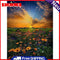 Hand Painted Oil Paint by Numbers DIY Flower Sunrise Drawing Wall Decoration Kit