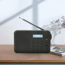 Multifunctional Digital Radio Wireless Reception Fm Radio Output with Antenna