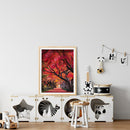 Molla bobina anteriore destra originale NAPA per Audi TT Quattro BFV 1.8 (03/05-06/06)