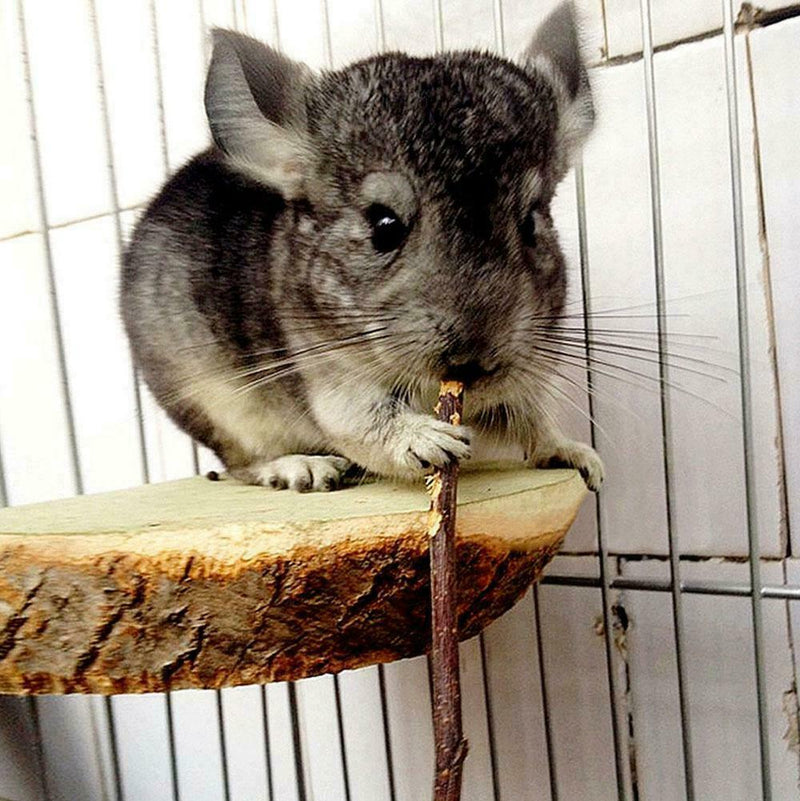 50g Wood Chew Sticks Twigs for Small Pets Rabbits Hamster Guinea Pig Best hot.