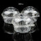 Disposable Reusable Muffin Cup Cake Holders Boxes Cases Set Plastic Cupcake