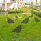 Acrylic Chicken Ornament Backyard Lawn Stakes Yard Art Outdoor Garden Decorat