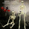 Poseable Full Life Skeleton Prop Halloween Decorati Party H3Q2 E6B4
