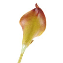 10pcs/Lot Artificial Flowers 5 Colors Calla Lily Bridal Fashions Wedding Decoration