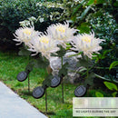 Solar Power Chrysanthemum Ground Light Flower Outdoor Garden Decor (White) Newly