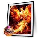 5D DIY Animal Series Square Diamond Diamond Painted Firebird (E543)