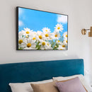 Sky Chrysanthemum Kit Painting By Numbers Oil DIY Hand Painted Canvas Picture