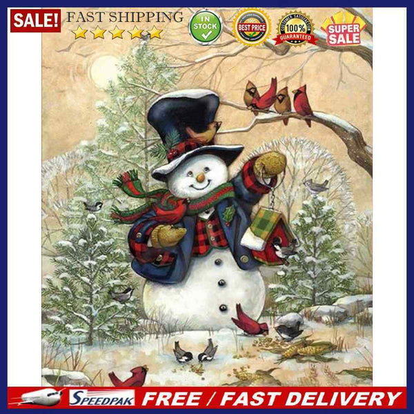 DIY Acrylic Drawing Oil Paint by Numbers Christmas Snowman Picture Home Dec