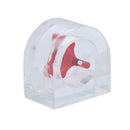 1pc Acrylic Semicircle 2 Way Flow Meter Indicator Port for PC Water Cooling