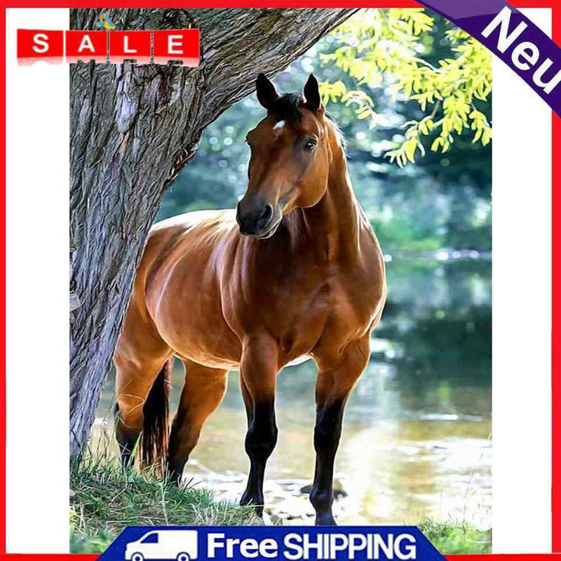 5D DIY Diamond Painting Kits Full Round Drill Horse Mosaic Picture Animal Crafts