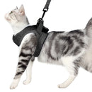 Polyester Collar Strap Escape Proof Easy Control Running with Traction Leash Set