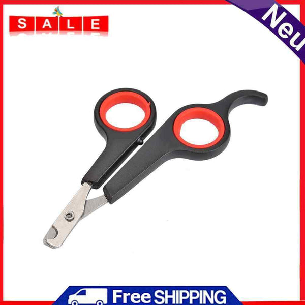 Anne. Sonderausgabe von Bratt, Berte | Buch | Zustand guter